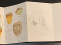 Sketchbook-October-2022-3jpg